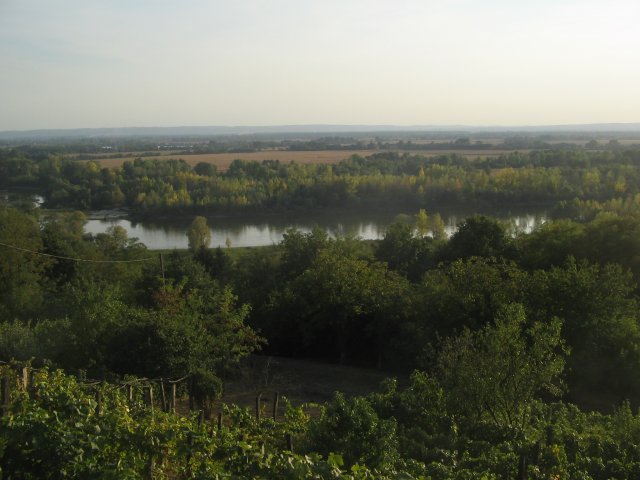 finnek 2011 018